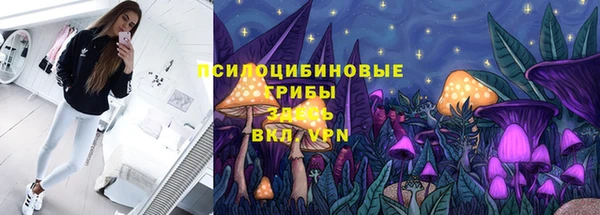бошки Балахна