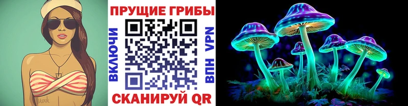 MEGA онион  цены   Краснодар  Псилоцибиновые грибы Psilocybe 