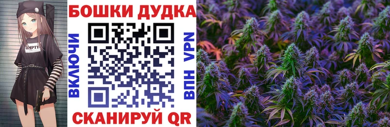 купить  цена  Краснодар  Каннабис Ganja 